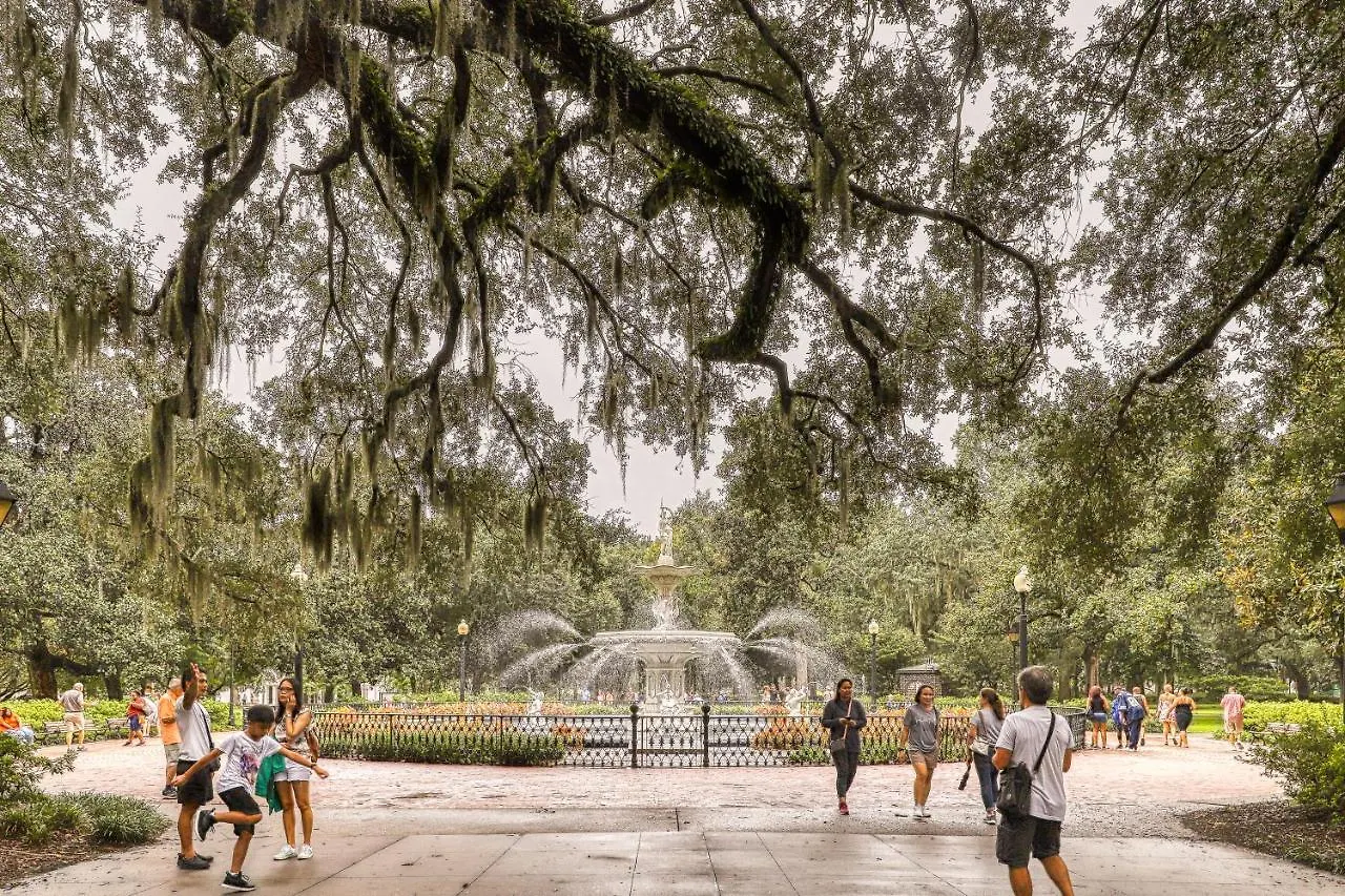 Savannah Hub